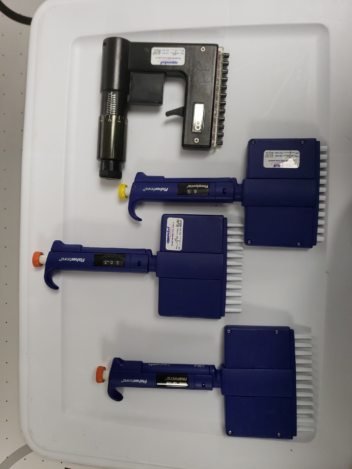 Set of Fisherbrand FinnPipette, 2 of 5-50ul, 50-300uL 12-Channel, 1 free 0-200ul