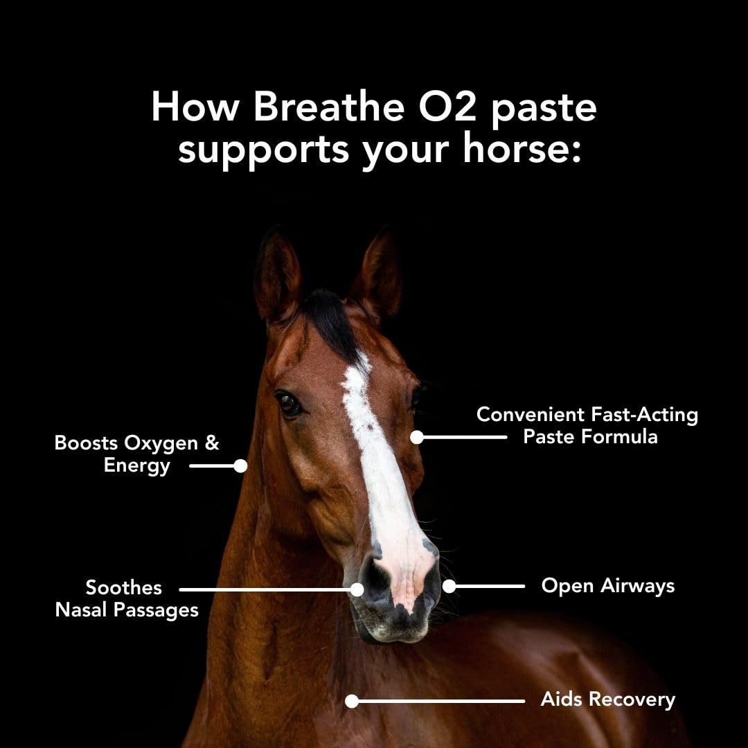 Breathe O'2 Paste (2 doses) Pre-Race Paste to Support Lung/Airway Function & ...