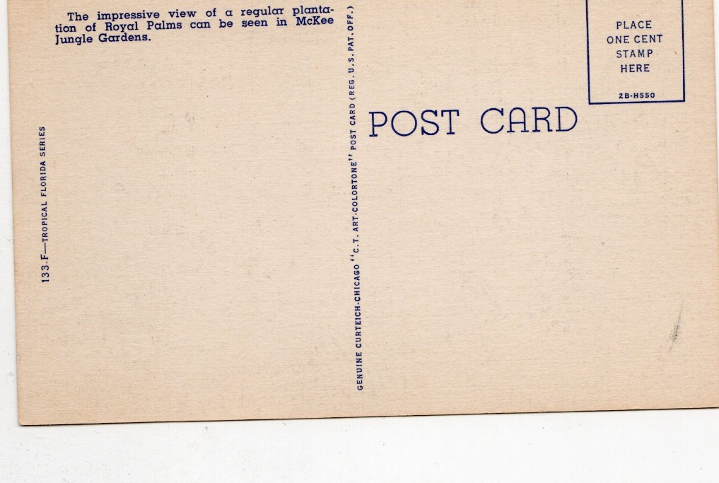 Vintage Postcard Stately Royal Palms Florida