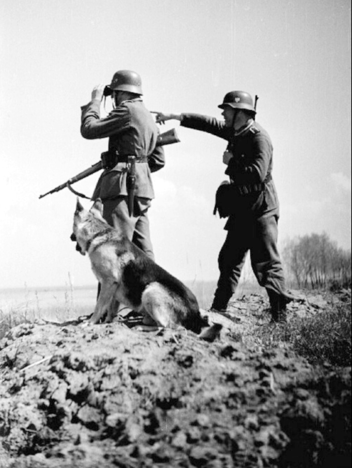 WW2 Photo WWII German Soldiers with Shepherd Dog  World War Two Wehrmacht / 2441