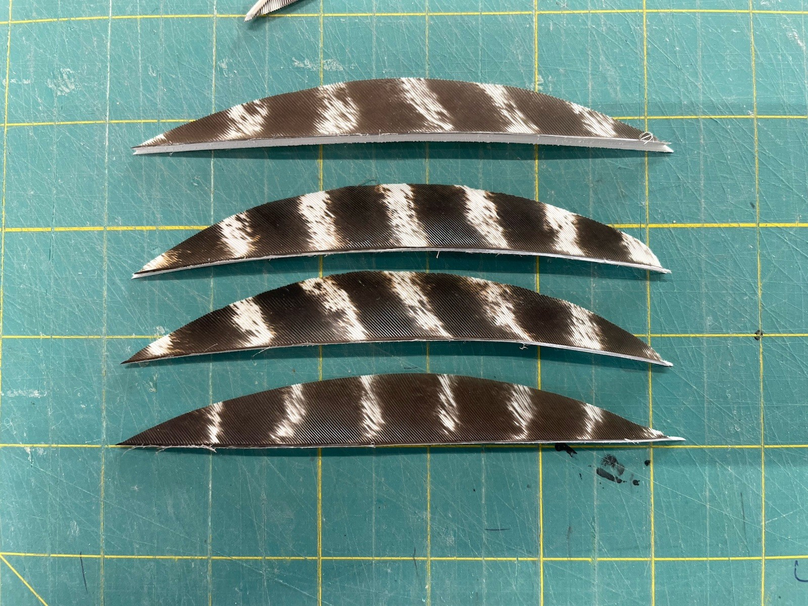 5" Right Wing Banana Natural Barred Feather Fletching, 25Pk Archery 🇺🇸