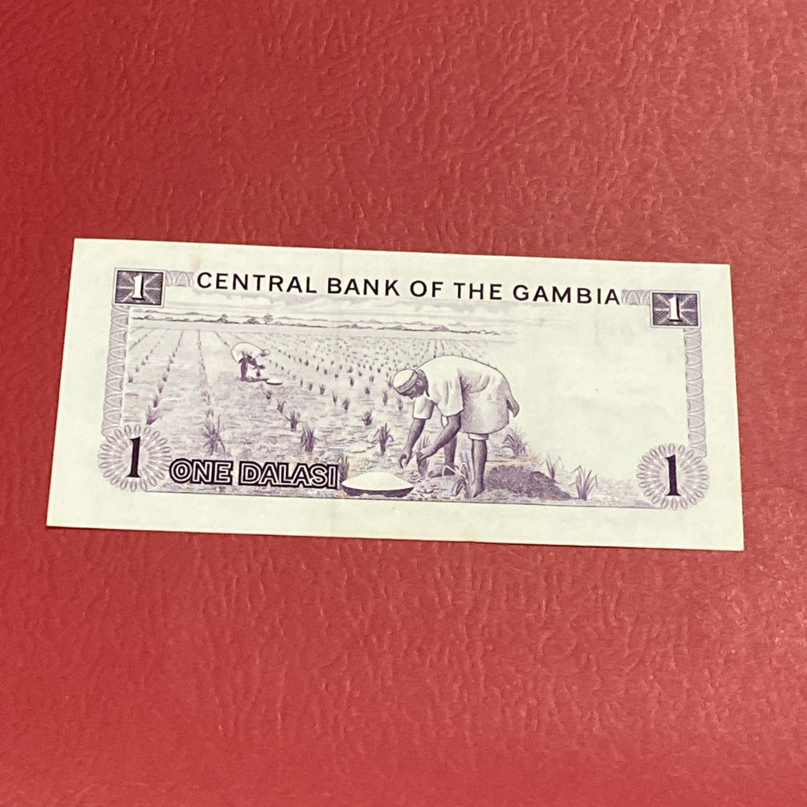Gambia- Dalasi-1971-87