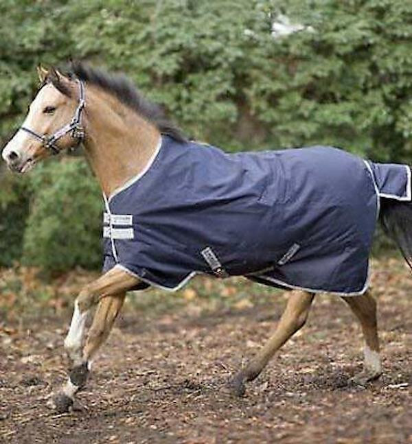Horseware Amigo Turnout Bravo12 Medium Weight 250g 1200D Navy Silver Blanket Rug