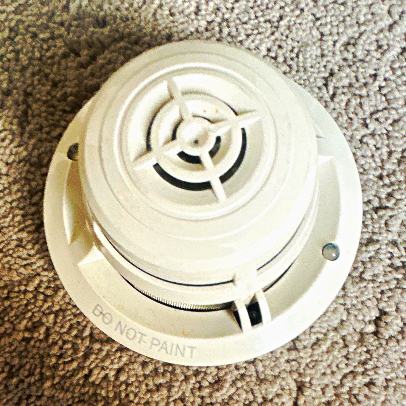 White Smoke Detector Sensor Head "Do Not Paint", Smoke Detectors