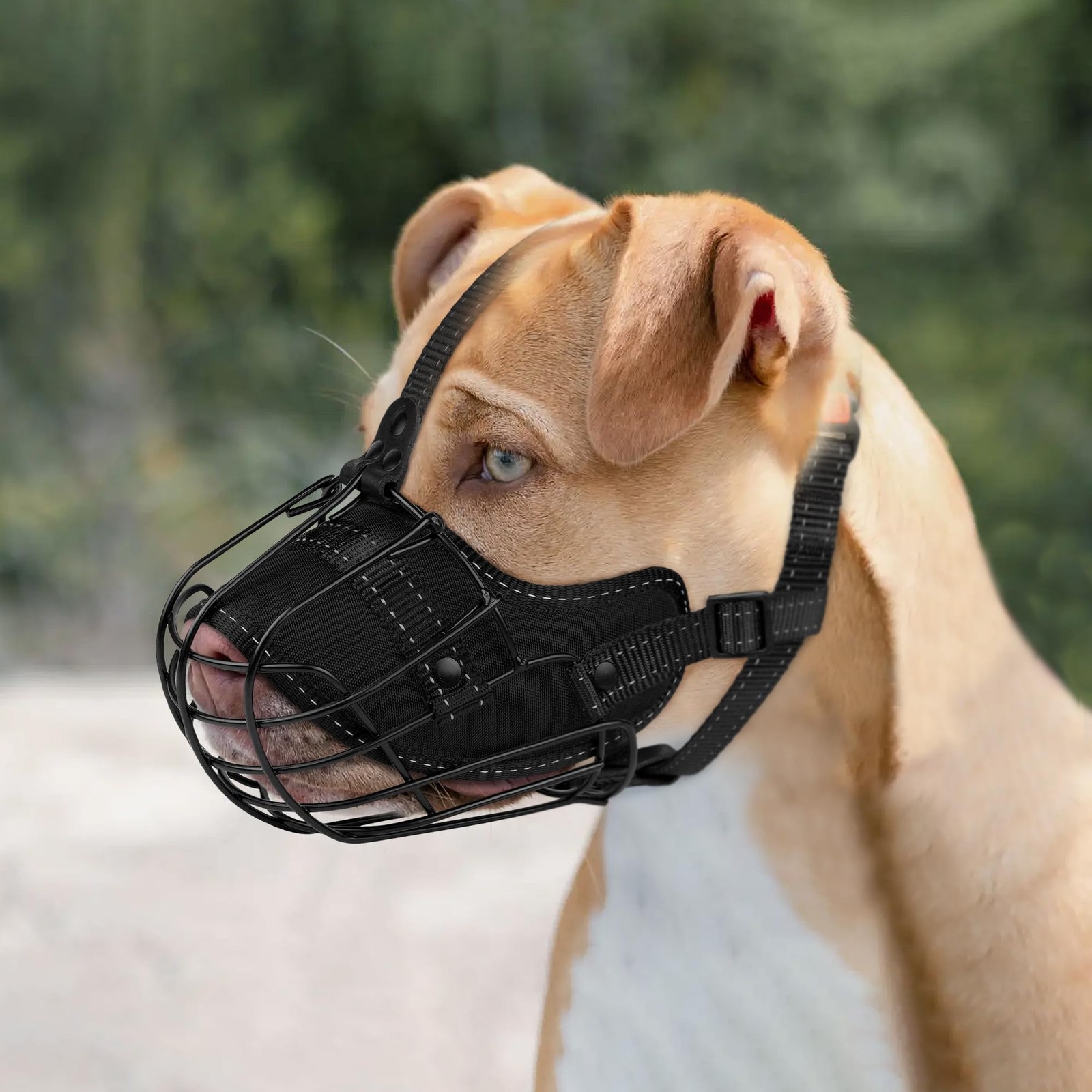 OOPSDOGGY Pitbull Dog Muzzle Reflective Metal Mask Secure Wire Pitbull, Black