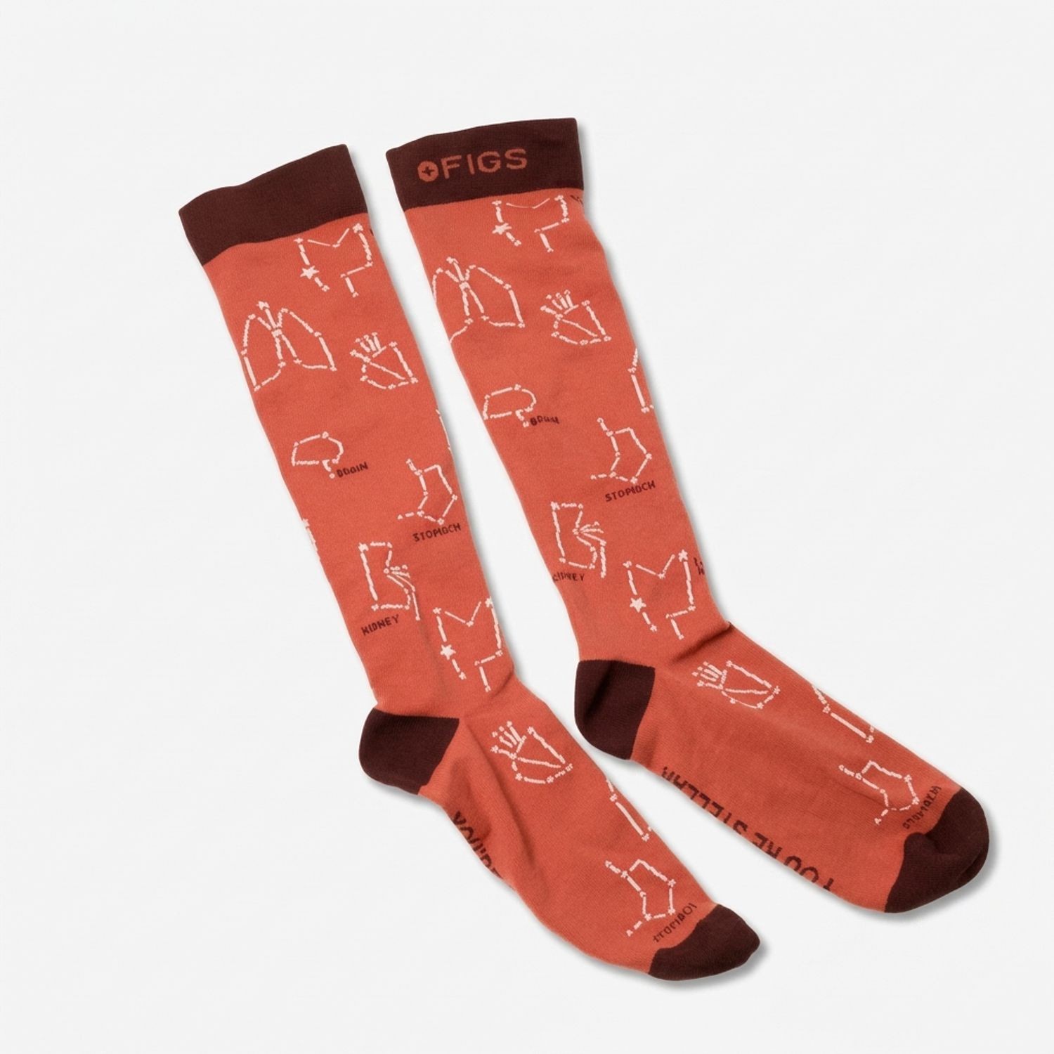 [Size L] Figs Compression Socks Pink Anatomy Print Knee High Socks