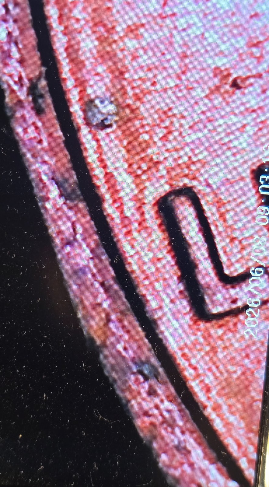 1977 Lincoln Cent 3.1g Copper Red💥Partial Double Rim Obverse & DDR Mint Errors