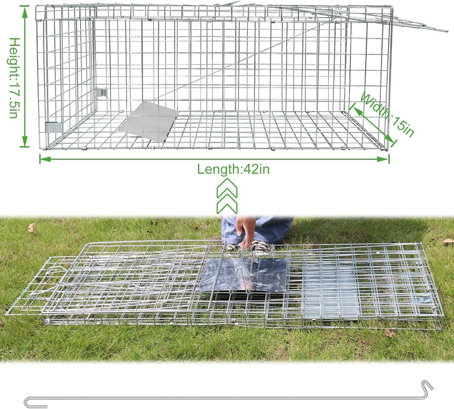 Humane Large Animal Trap for Fox, Raccoons & Coyotes - 42.5"x15"x17