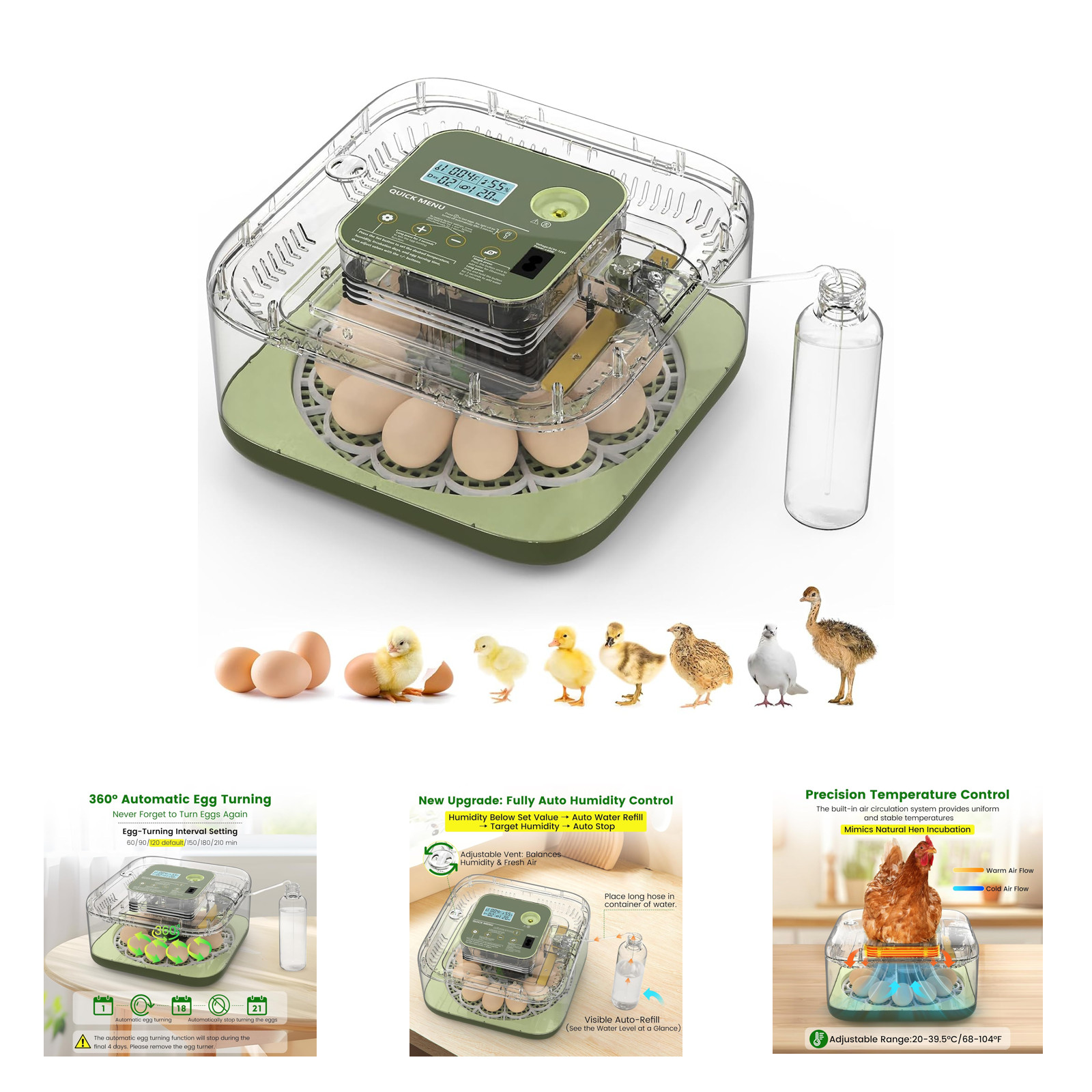 12 Egg Incubator with Automatic Turning Auto Water Refill Temperature Humidity