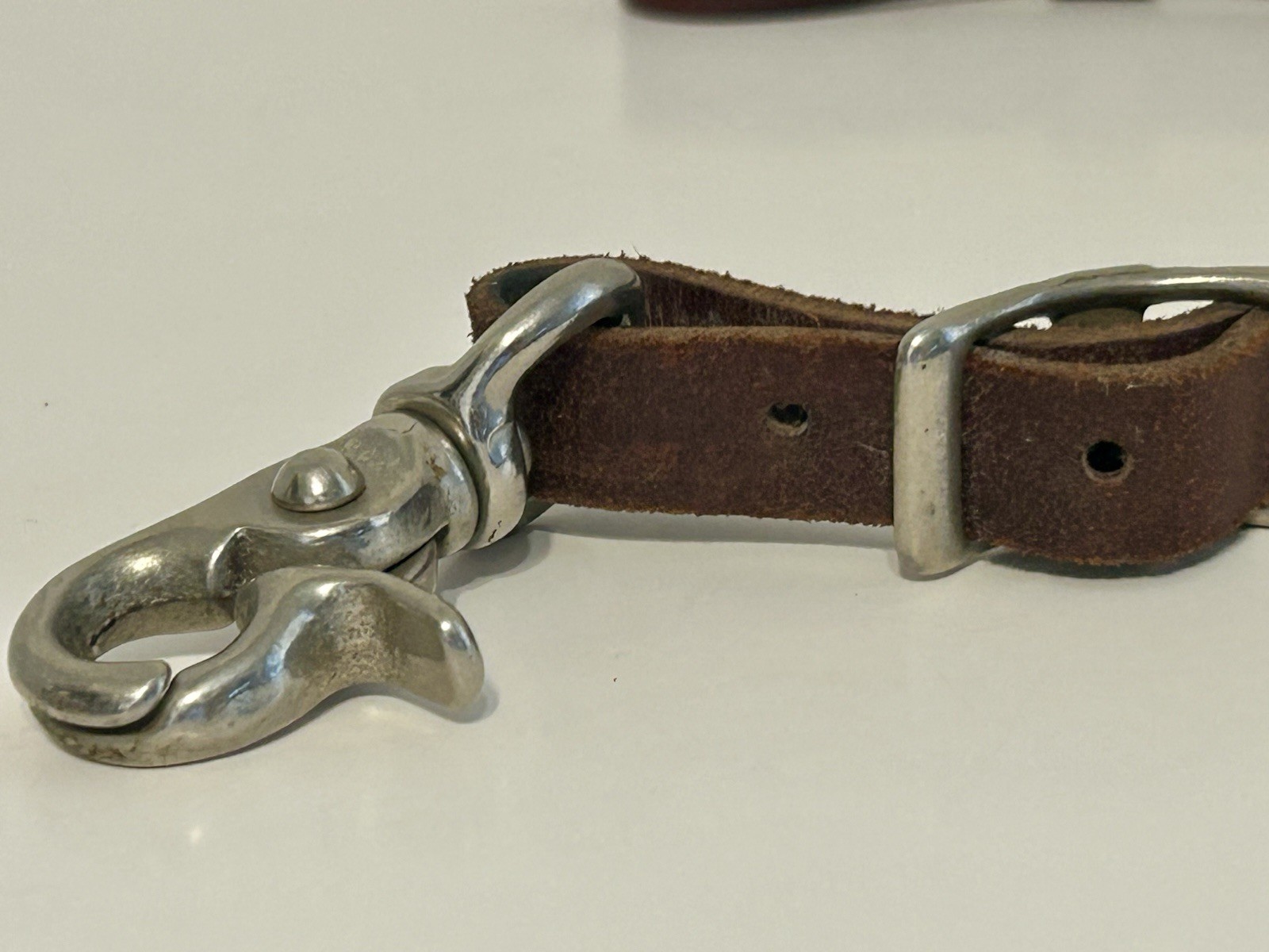 champion turf leather collar horse equestrian