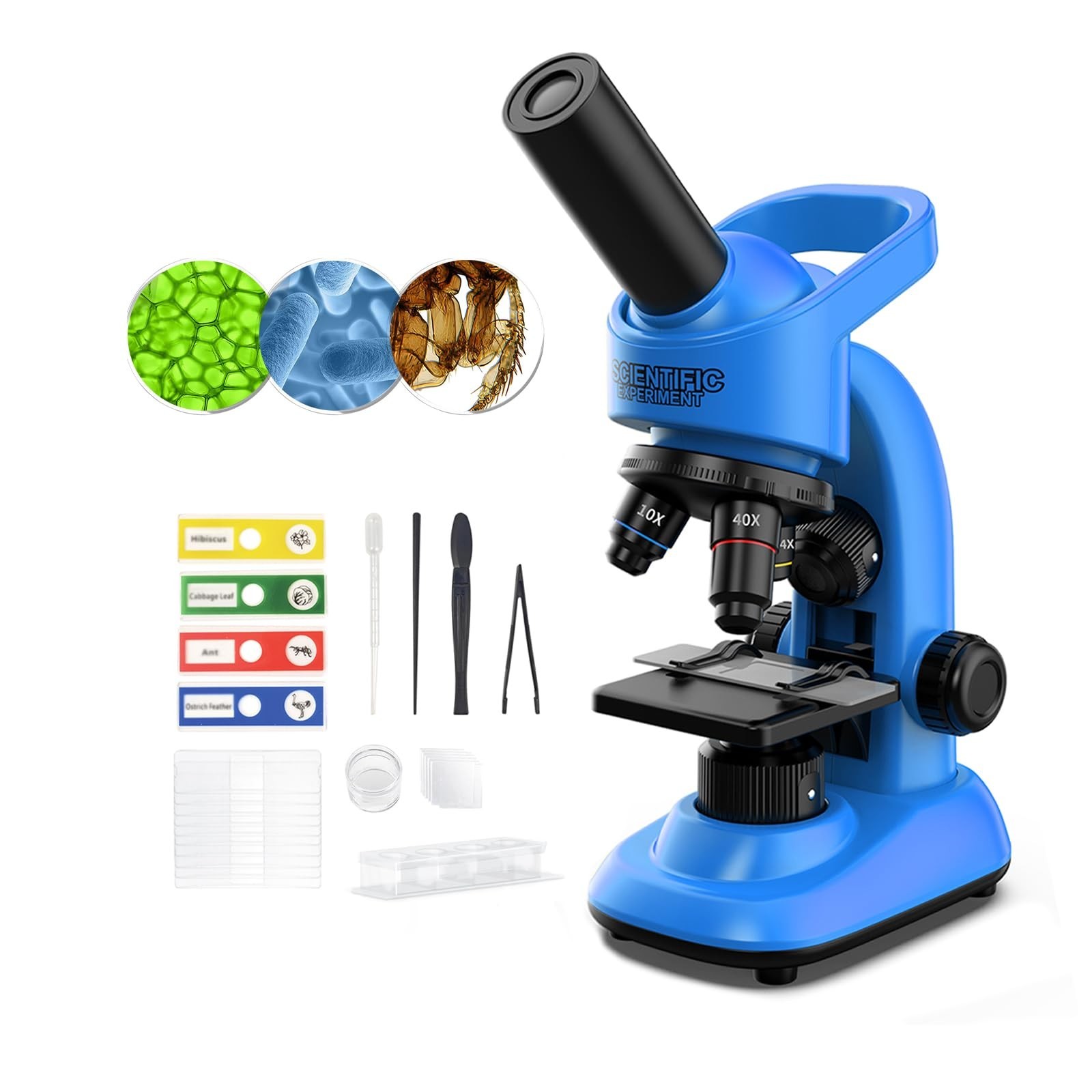 Microscope for Kids Scientific Experiment Kit 40X-1600X Magnification LED Light