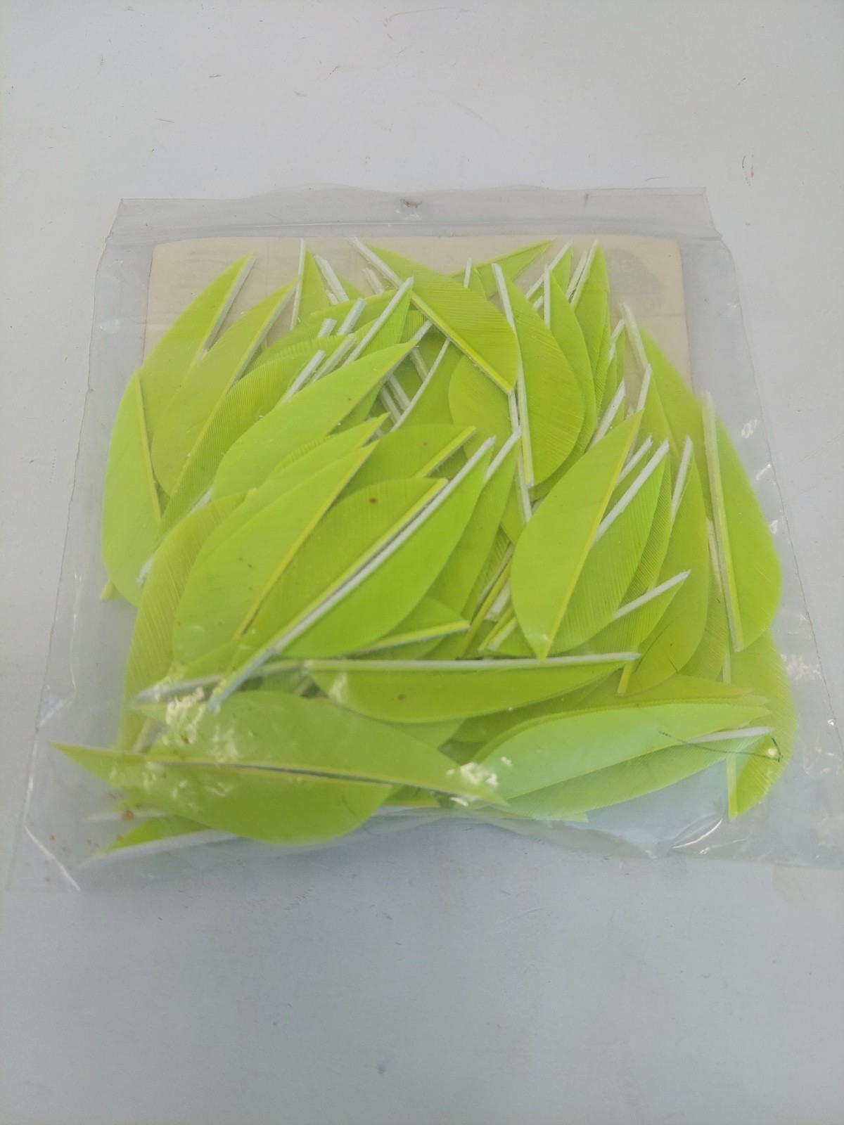 100 Pack Gateway Feathers 2.5" Right Wing: Parabolic Lemon Lime Green 212RPSLL