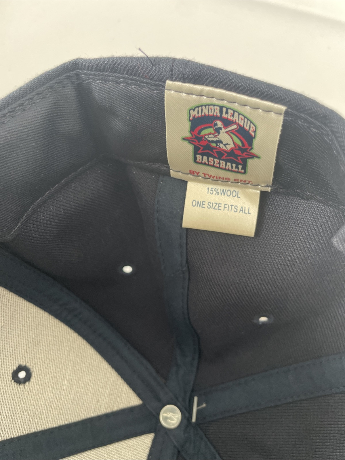Clearwater Threshers Minor League Baseball Twins Enterprises Buoy Navy Hat NWT