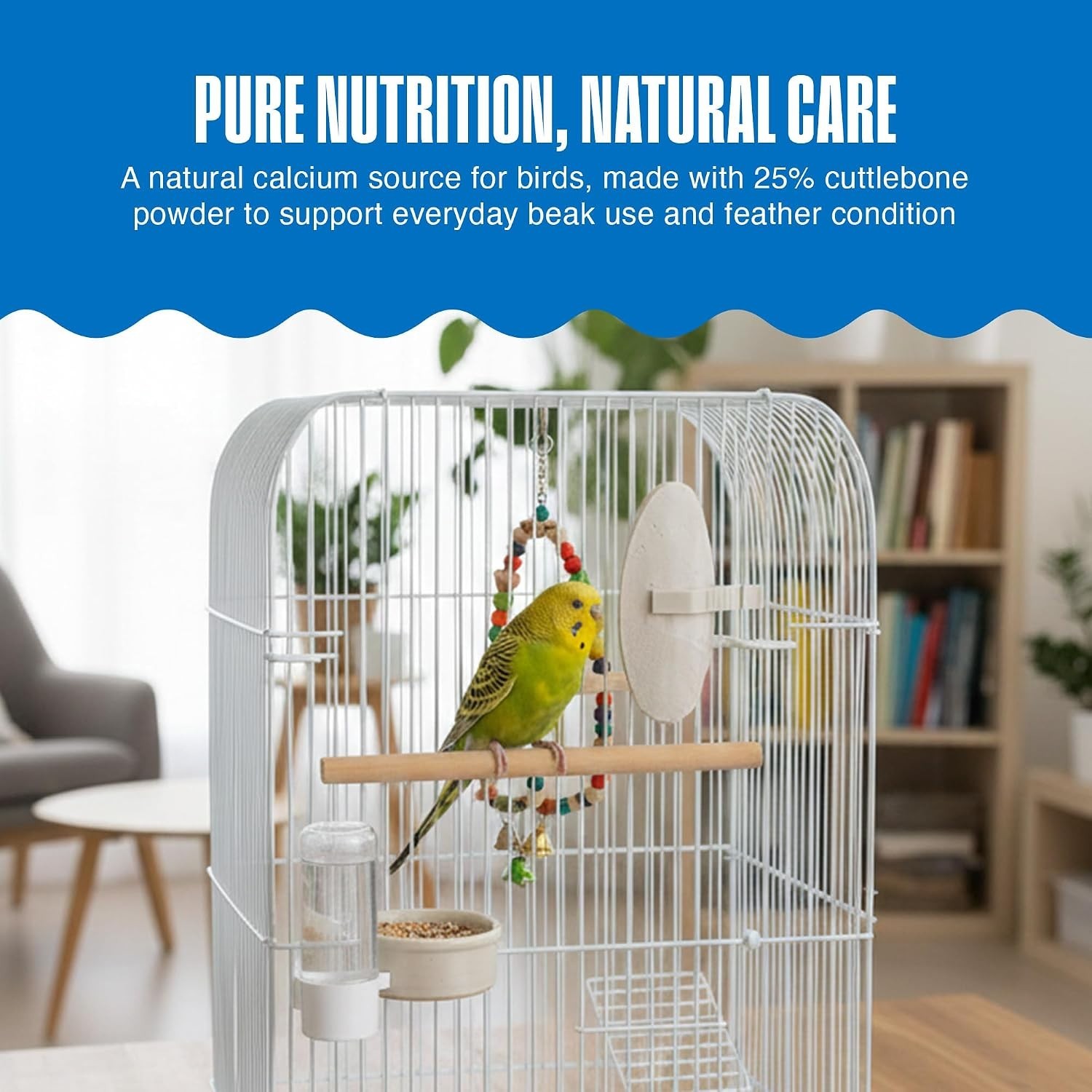 Durable Bird Cuttlebone (2 Pack) - Immune Support & Feather Health Essential