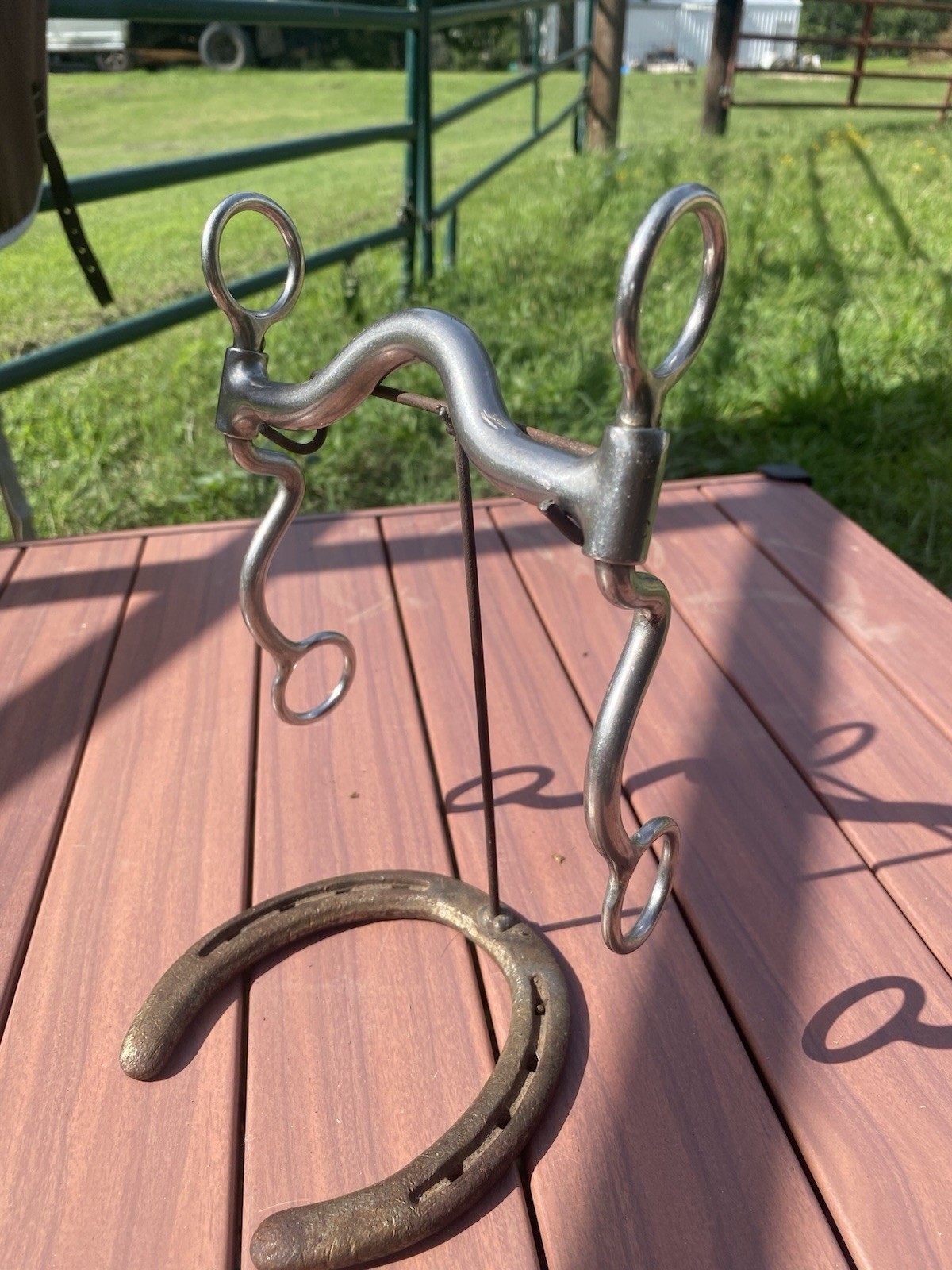 SS Tramell Ported Western Horse Riding Roping Bit