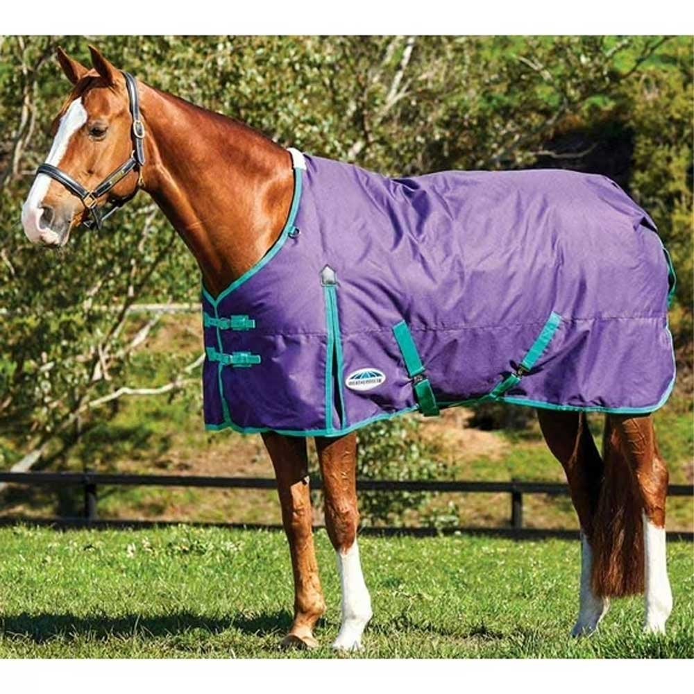 Weatherbeeta Comfitech Essential Standard Neck Med  Turnout - Purple - 66