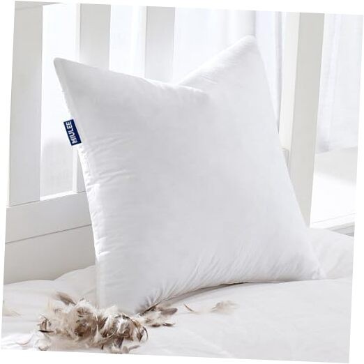Feather Pillow Insert 28x28, Decorative Down Feather Decorative 28x28 Inch 1