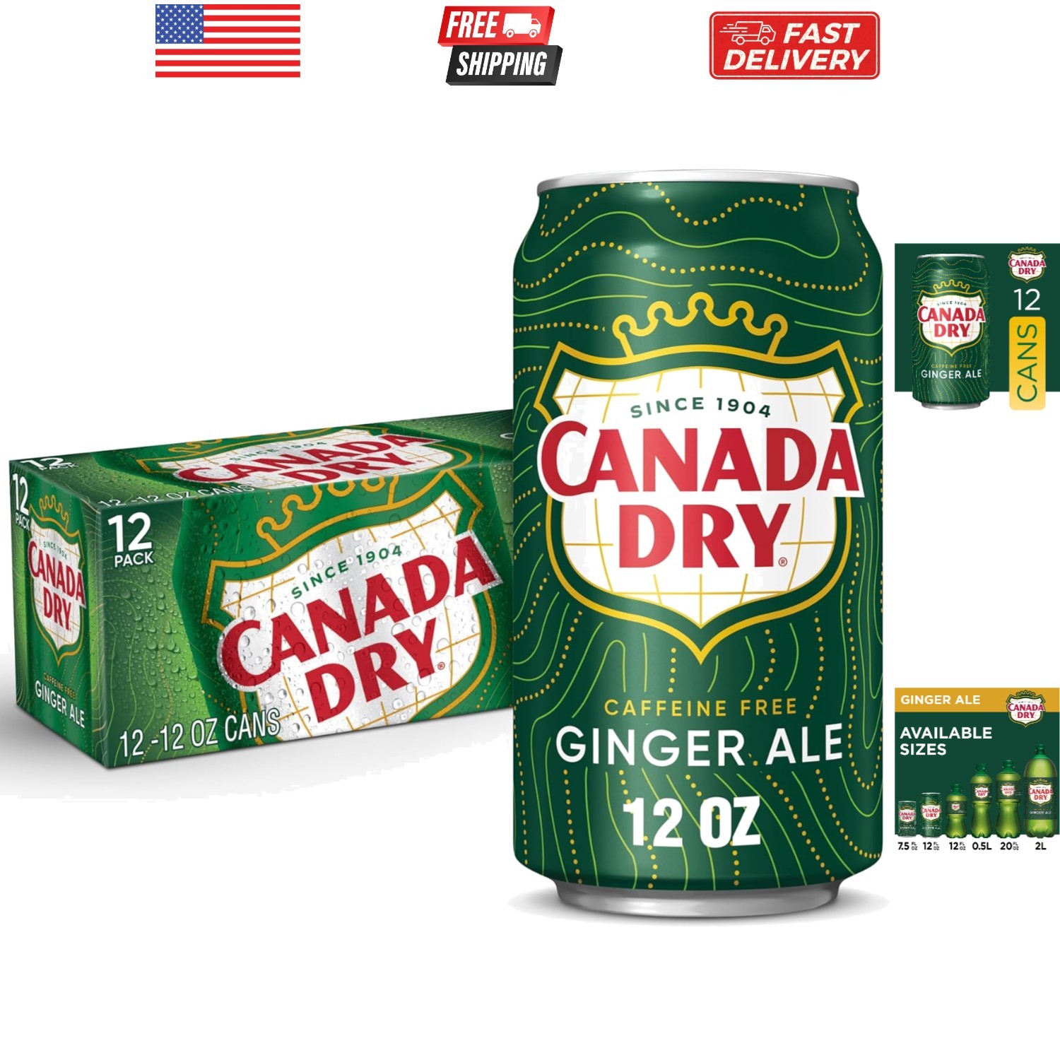 Ginger Ale Soda, 12 fl oz cans, 12 pack