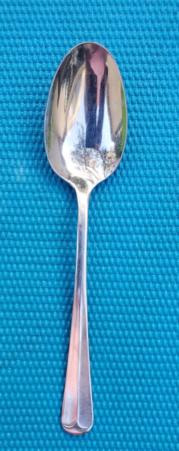 Oneida Northland POST ROAD SERVING SPOON 8 3/8"