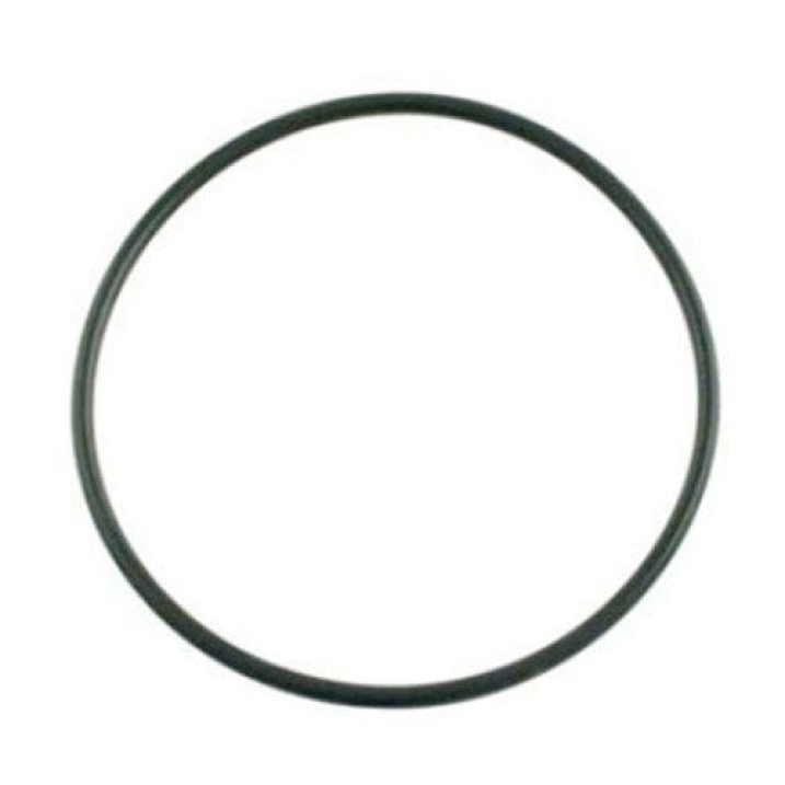 American Products / Pentair Ultra-Flow Pump Lid Cover O-RING 39300600