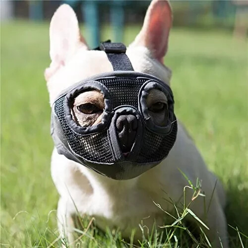 JYHY Short Snout Dog Muzzle Adjustable Breathable Mesh Bulldog Muzzle for