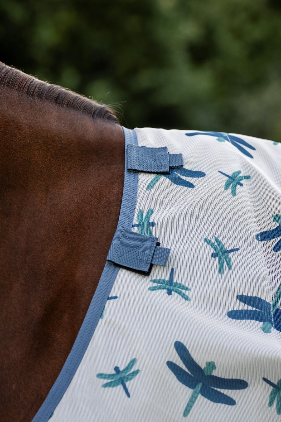 Horseware Amigo Bug Rug Fly Sheet - No Hood