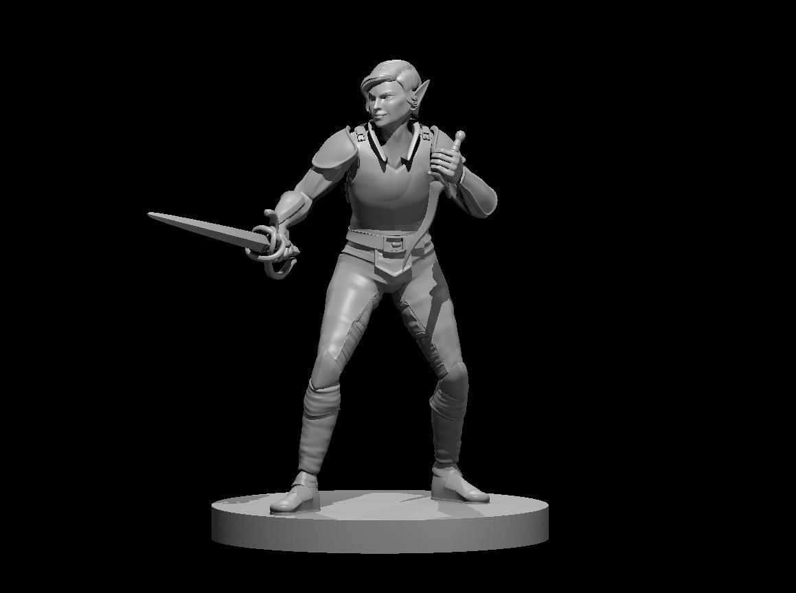 Elf Female Swashbuckler Pirate Rogue 28mm Scale DND D&D Tabletop Mini