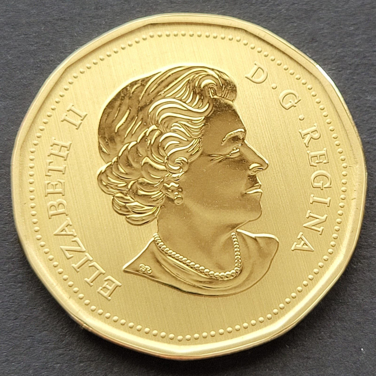*** CANADA LOONIE 2017 *** SPECIMEN *** SNOW GOOSE ***