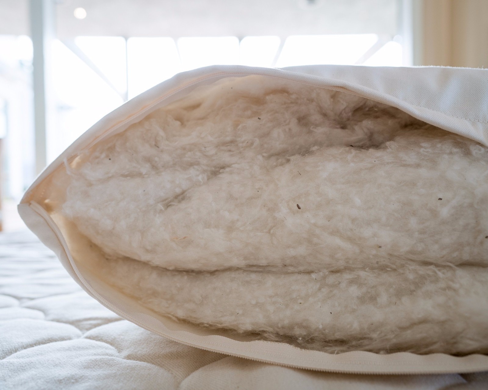 Organic Cotton Bed Pillow SACHI Organics USA Natural Standard Queen King Eco