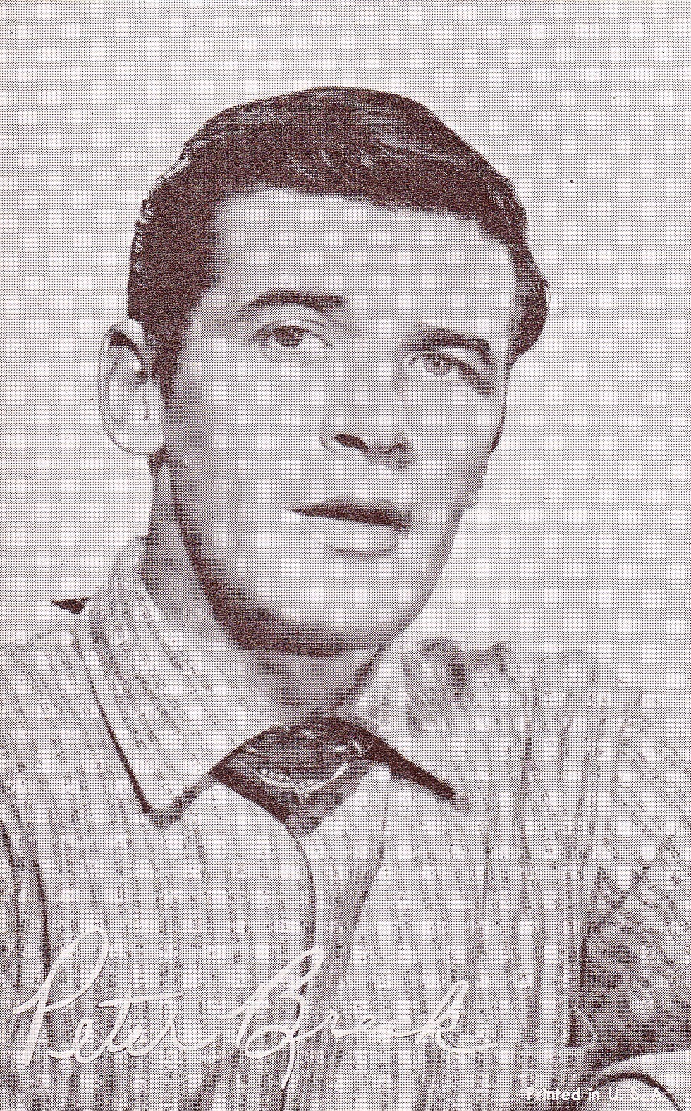 Peter Breck 1960's Vintage Classic Westerns TV Star Arcade Card The Big Valley