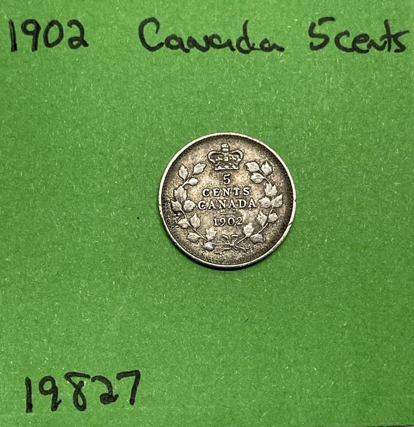 1902 Canada 🇨🇦 5 Cents Silver Coin