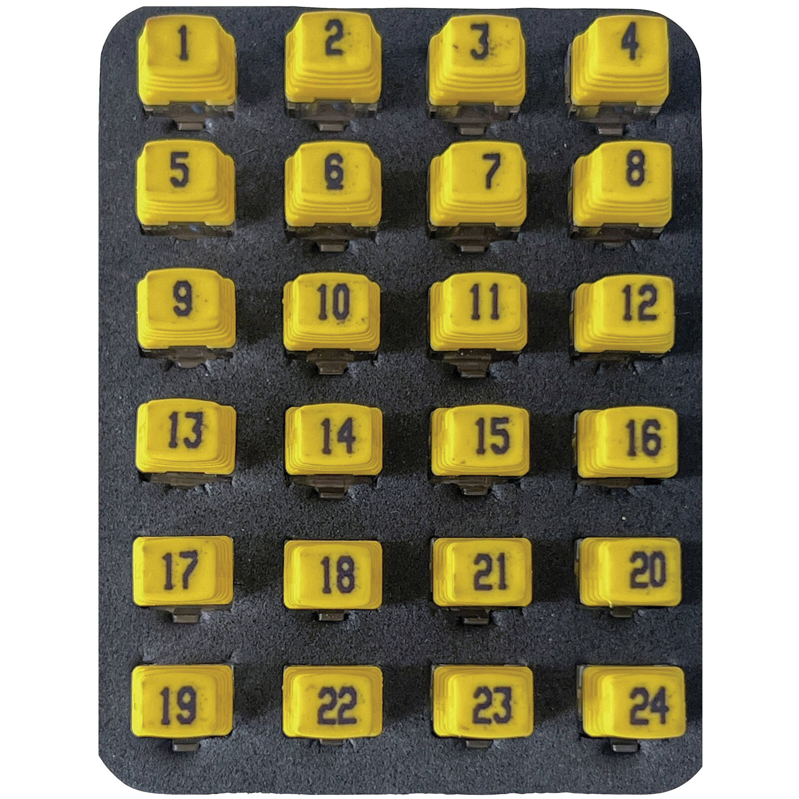 Softing 226581 Telecomando Identificazione Set 24 X RJ45 per Cavo Master, Xg