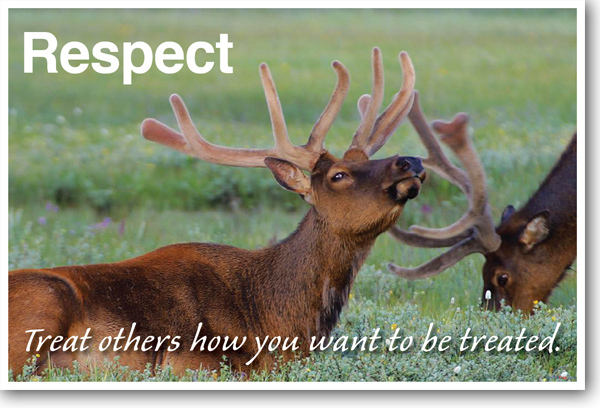 Treat Others How You Want To Be Treated - Respect - New Animal Classroom Poster