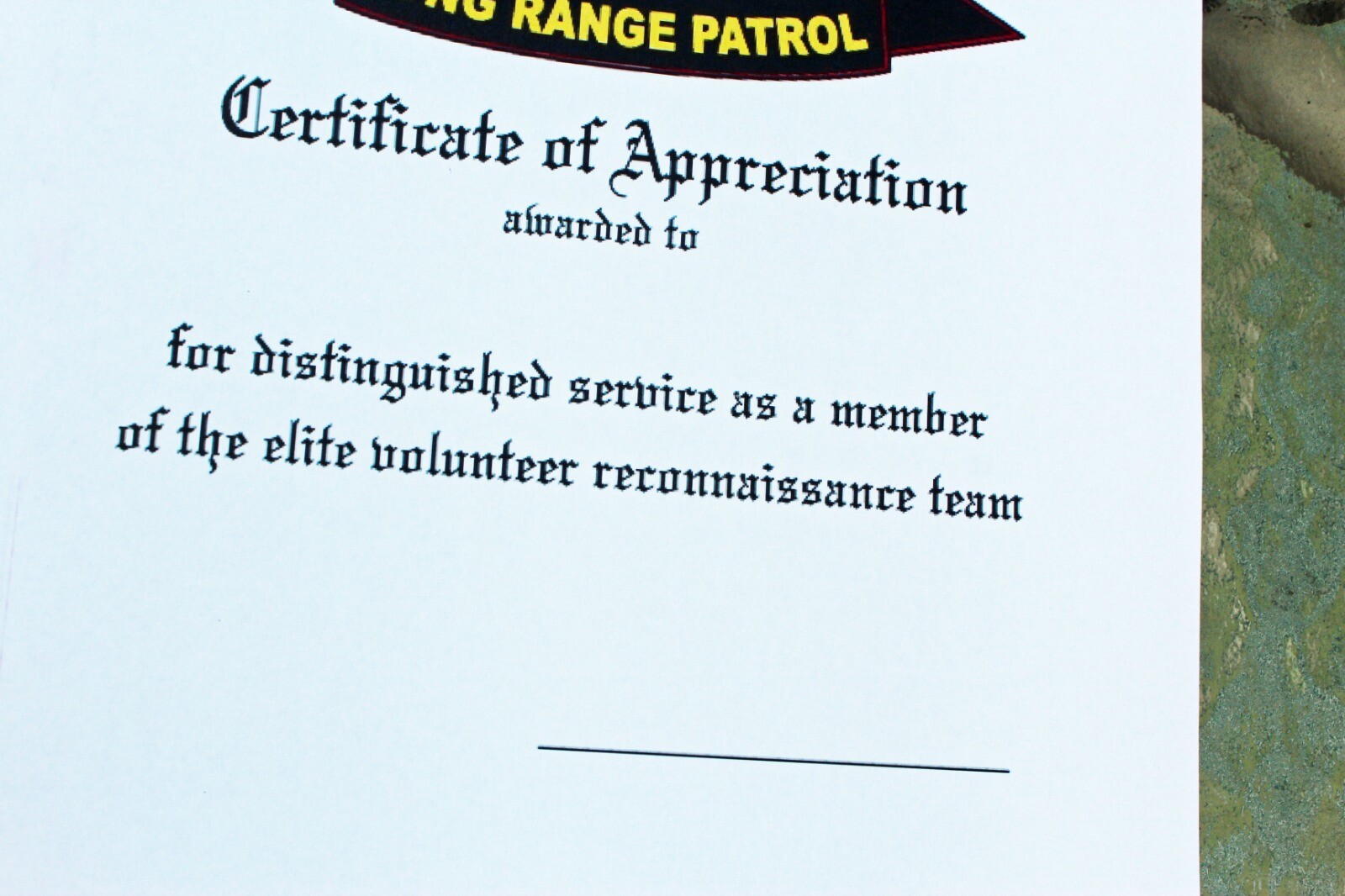 C4 101st Airborne Long Range Patrol L CO Ranger Airborne