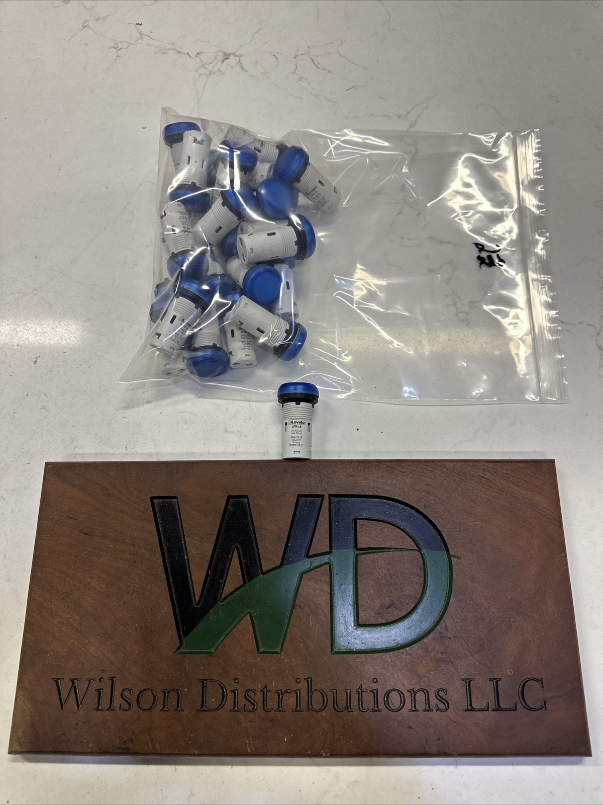 Lovato 22MM Blue Pilot Lite LPMLB 24V Brand New E53
