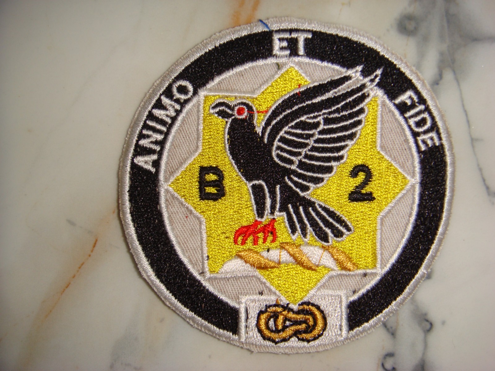 US 2nd SQUADRON -1st CAVALRY RGT BLACKHAWKS,  VIETNAM WAR PATCH