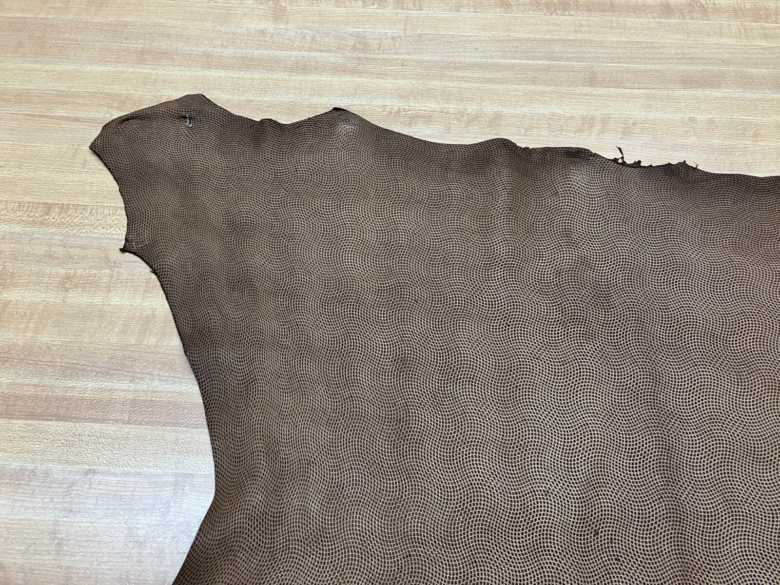 Embossed Goat Leather #0018205 Row 152