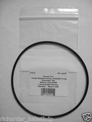 Pentair American 51002200 1-1/2" MPV Cover O-Ring / R&S 252P / FDA EPDM Material