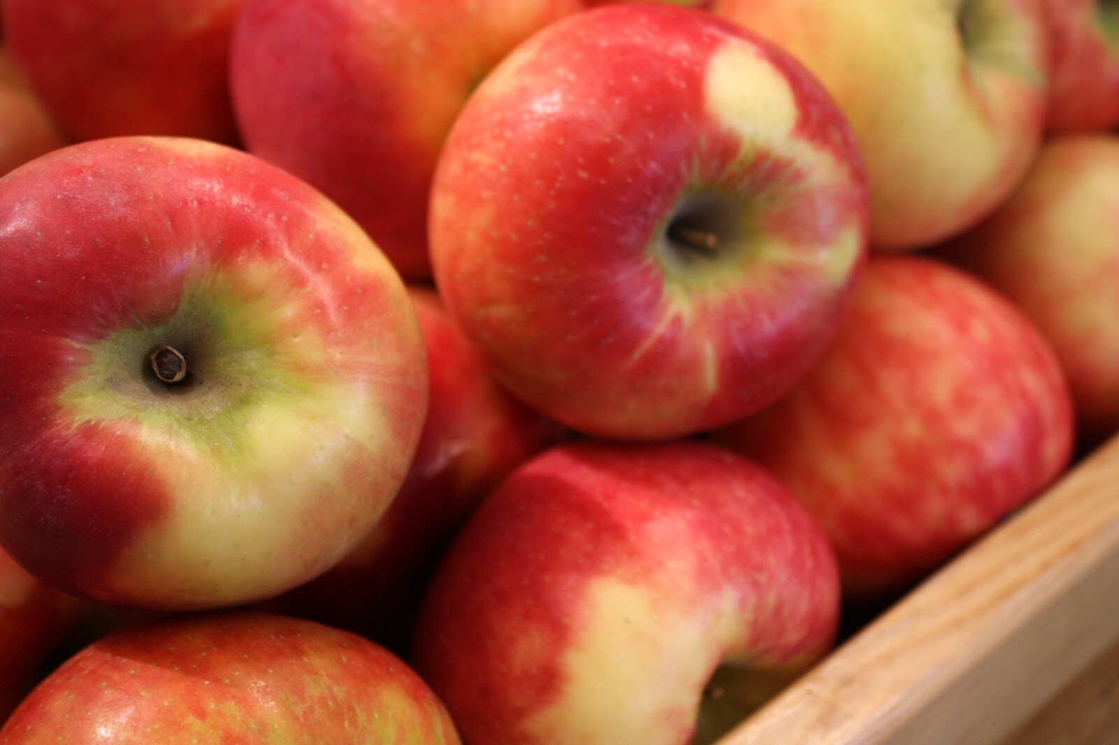 Fresh Macintosh Apples s by RawJoy Farms