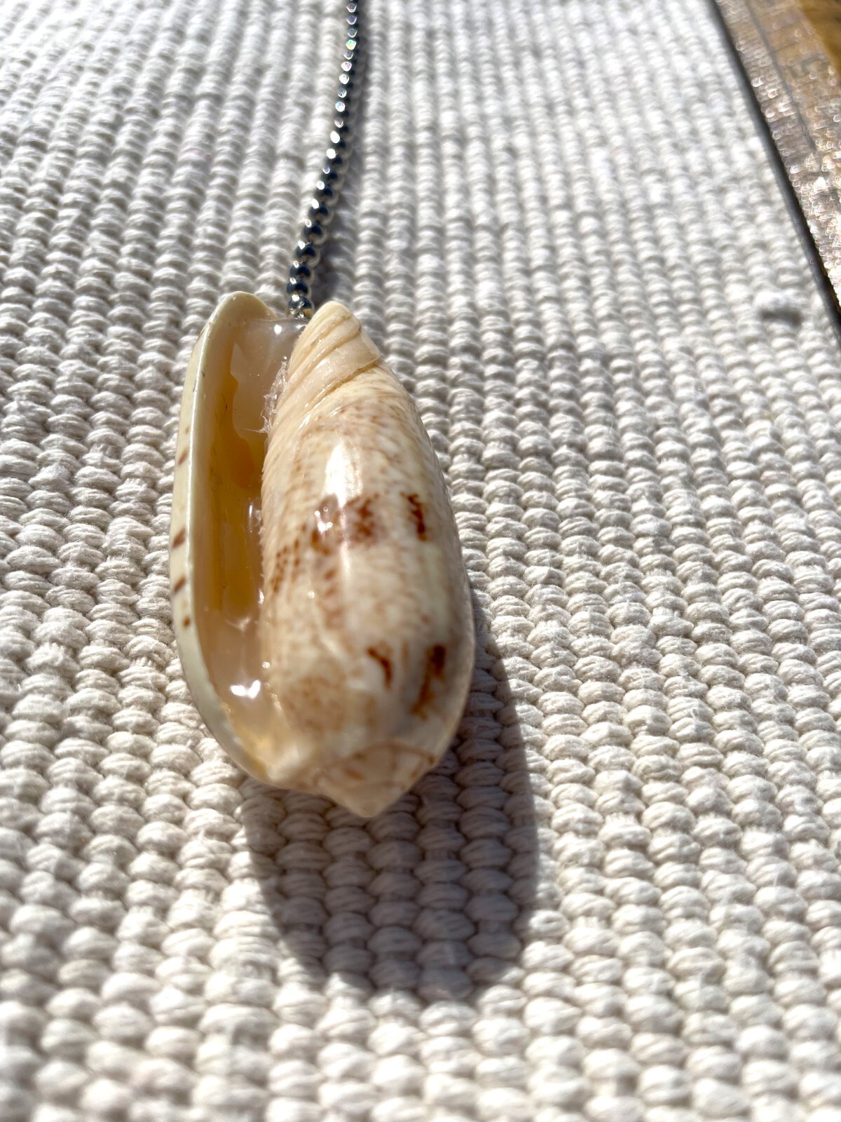 LETTERED OLIVE SHELL FAN PULL Seashell FAN PULL Chain Shell Ceiling Fan Pull
