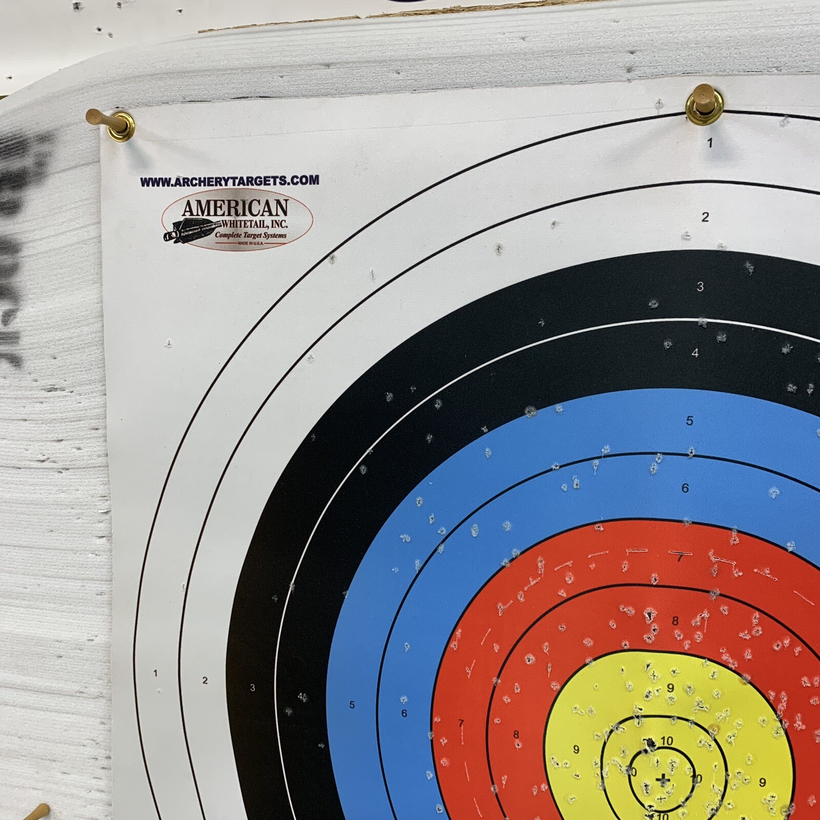 AMERICAN WHITETAIL 80CM INFINITY TARGET FACE