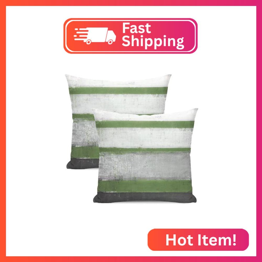 AEIOAE Sage Green Grey Pillow Covers 18x18 Set of 2 Beige Abstract Art Painting