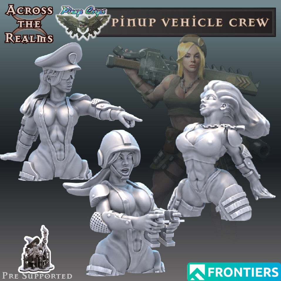 Pinup Vehicle Crew x 3 models (28 / 32mm scale)