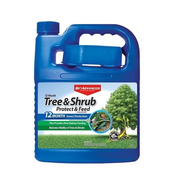 BIOADVANCED 64 oz. Concentrated Outdoor Protect and Feed Insect Killer