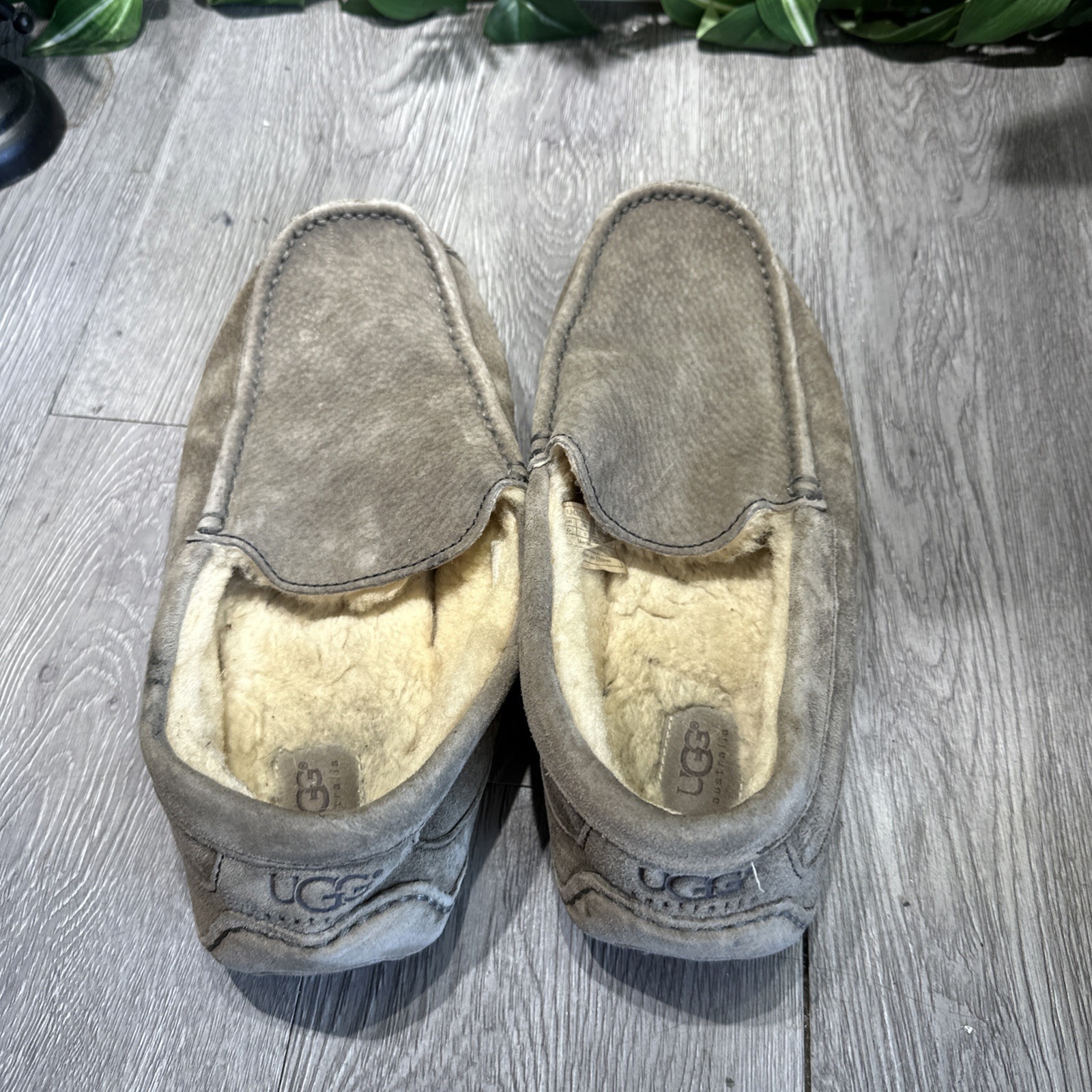 UGG Australia Ascot Suede Slipper 5775 Gray sheepskin lined Size 10