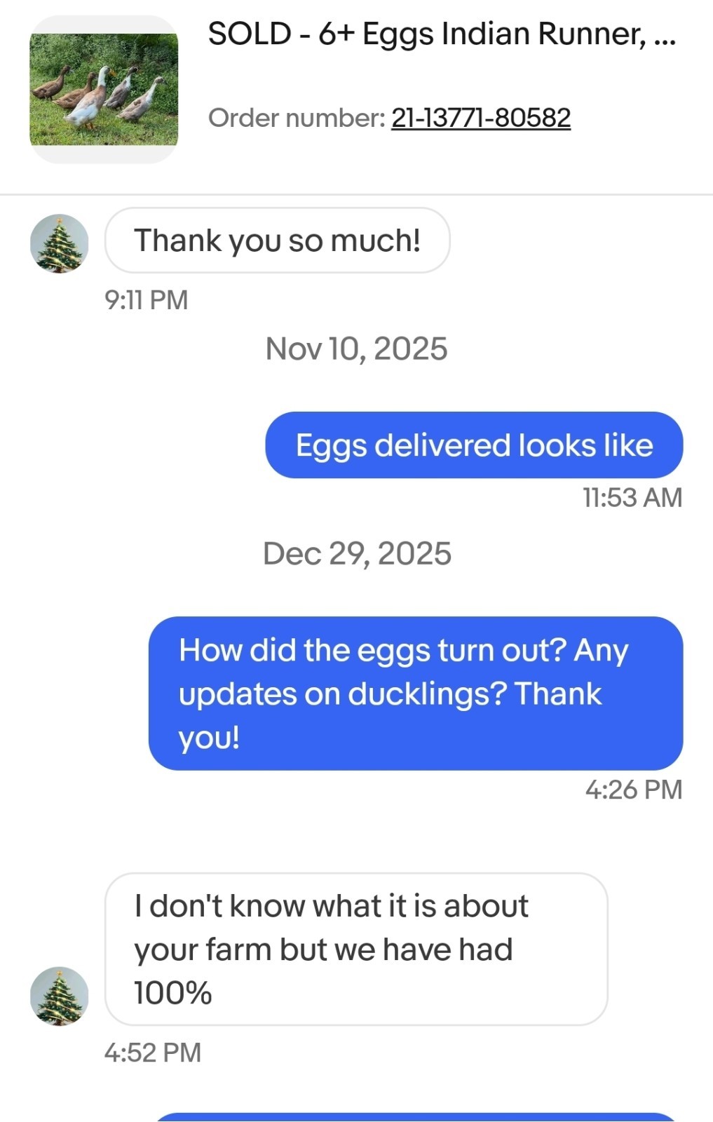 6+ Cayuga & Ancona fertilized duck eggs