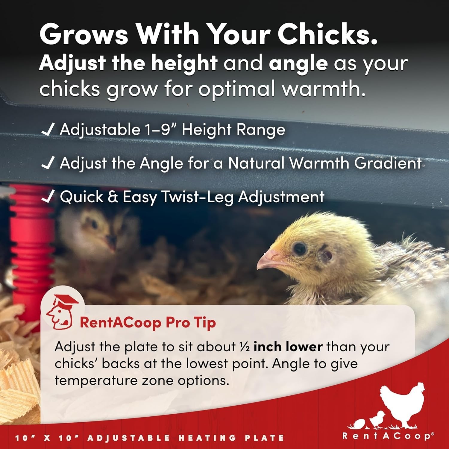 Adjustable 15-Watt Chick Brooder Heat Plate - Energy-Saving