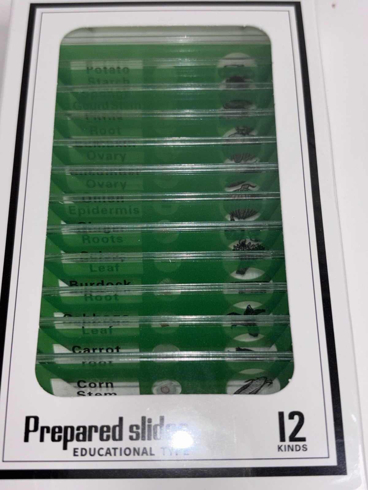 Lot of 4 DIY-SCIENCE Prepared Microscope Slides Educational Type 12 Kinds SEALED