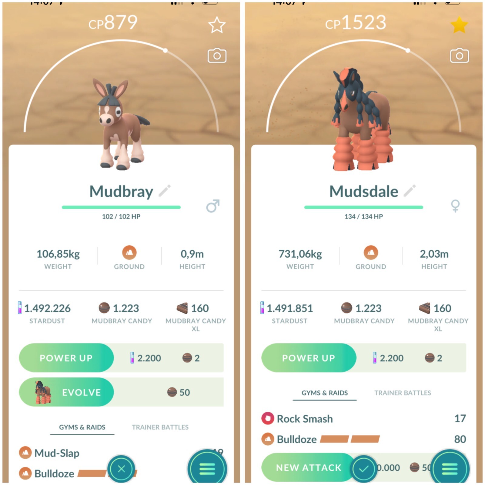 Mudsdale , Mudbray Evolution  | Tr-de 20k stardust