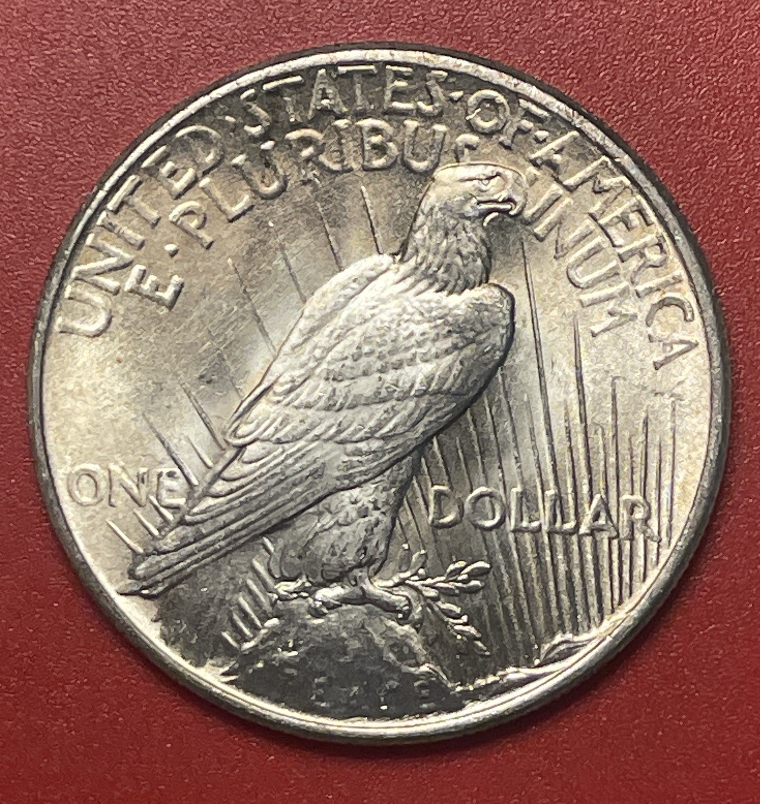 1925 P Peace Silver Dollar, Choice to Gem Uncirculated.